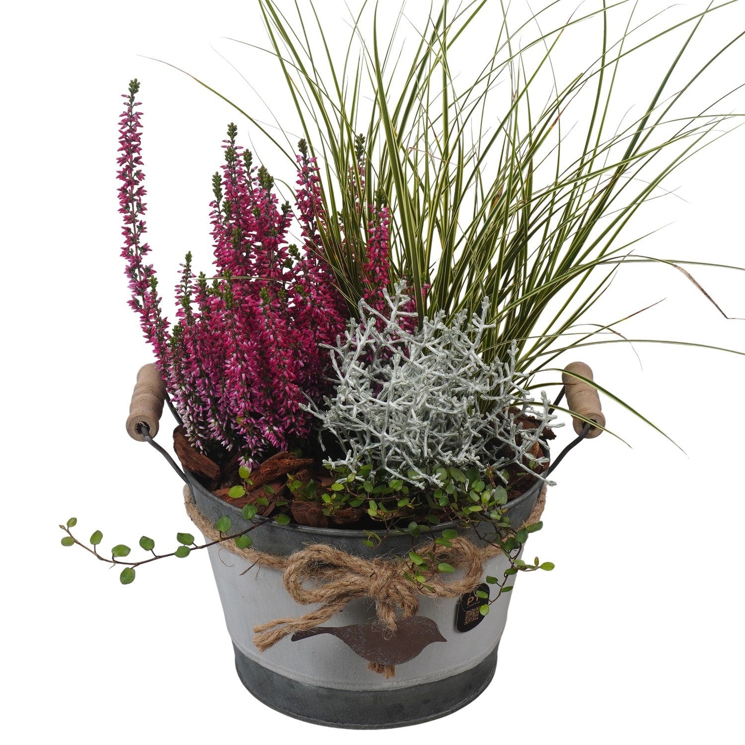 Outdoor arrangement 44cm 20cm Pot