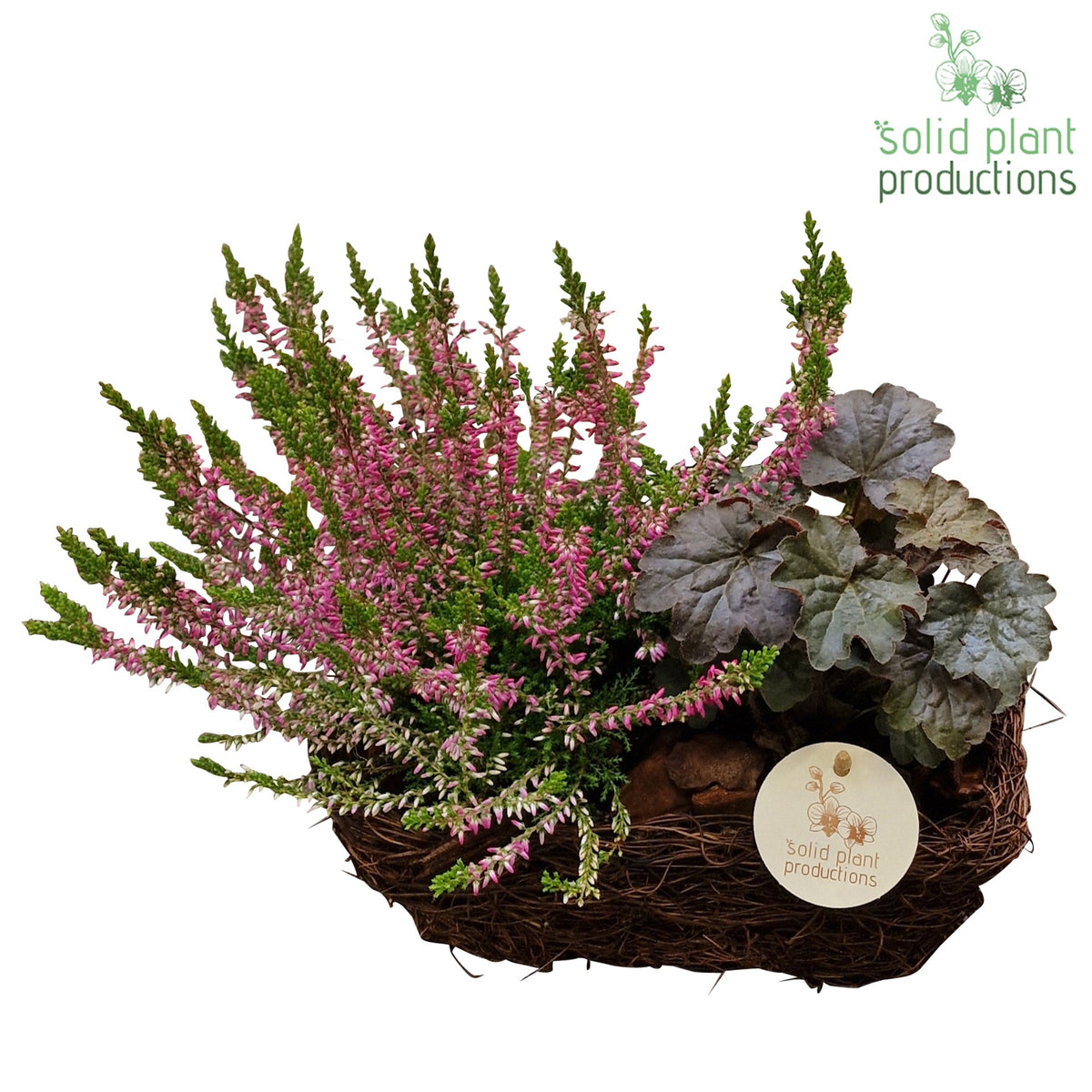 SRS001 Salim R Small 35cm 24cm Pot