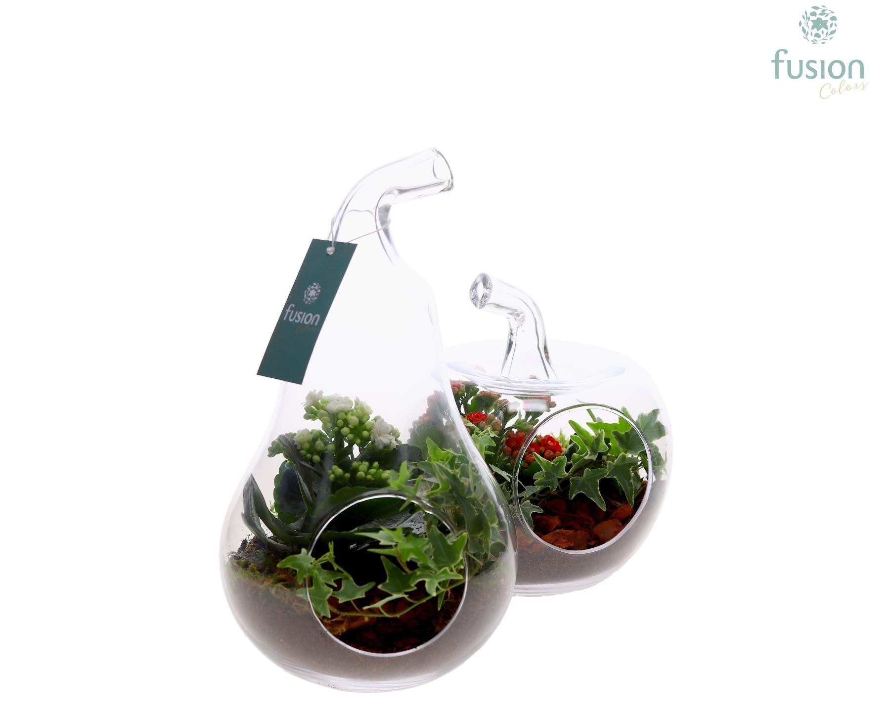 Glas Appel en Peer met arrangement 2pp 29cm 18cm Pot
