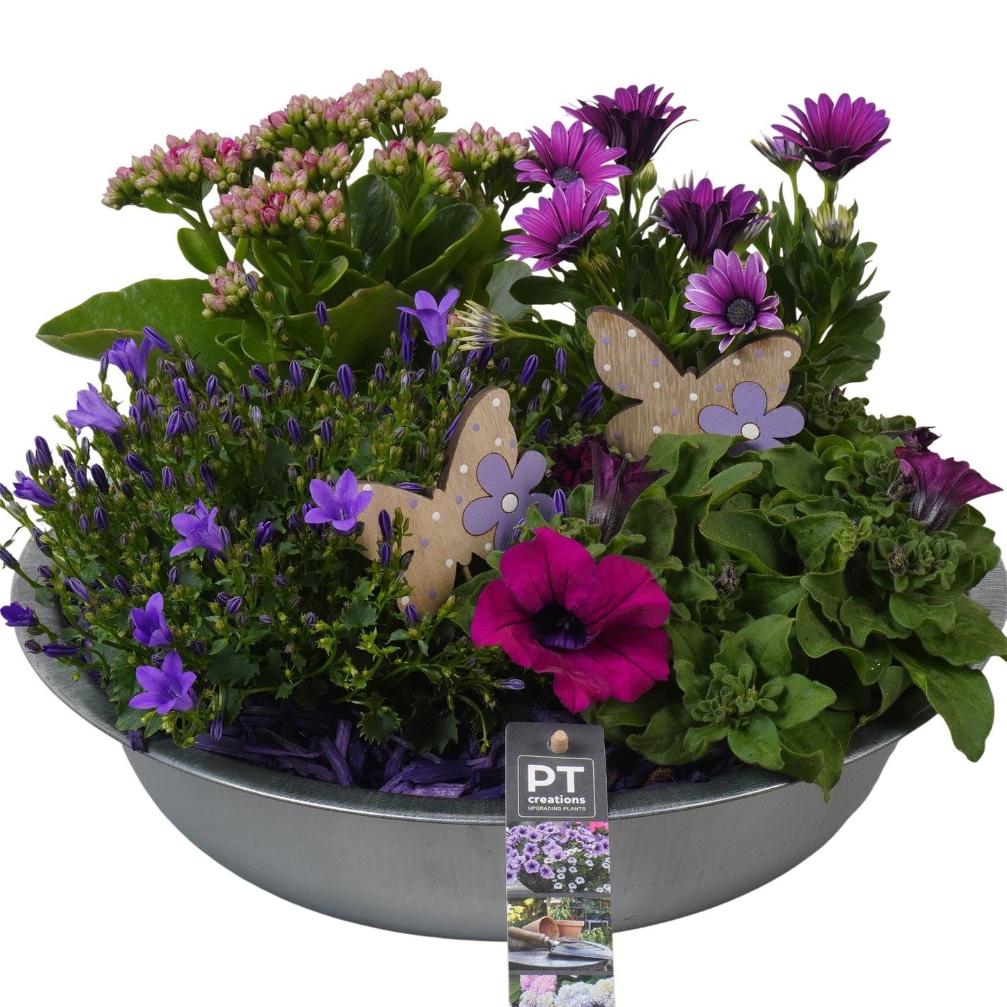 arr. PM196 25cm 36cm Pot