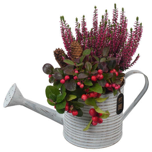 Outdoor arrangement 30cm 34cm Pot