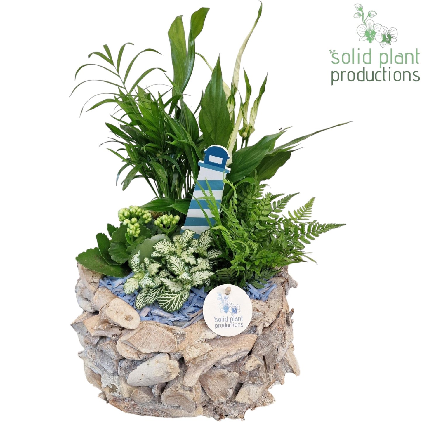SC013 Driftwood Round White Washed Maritiem 45cm 31cm Pot