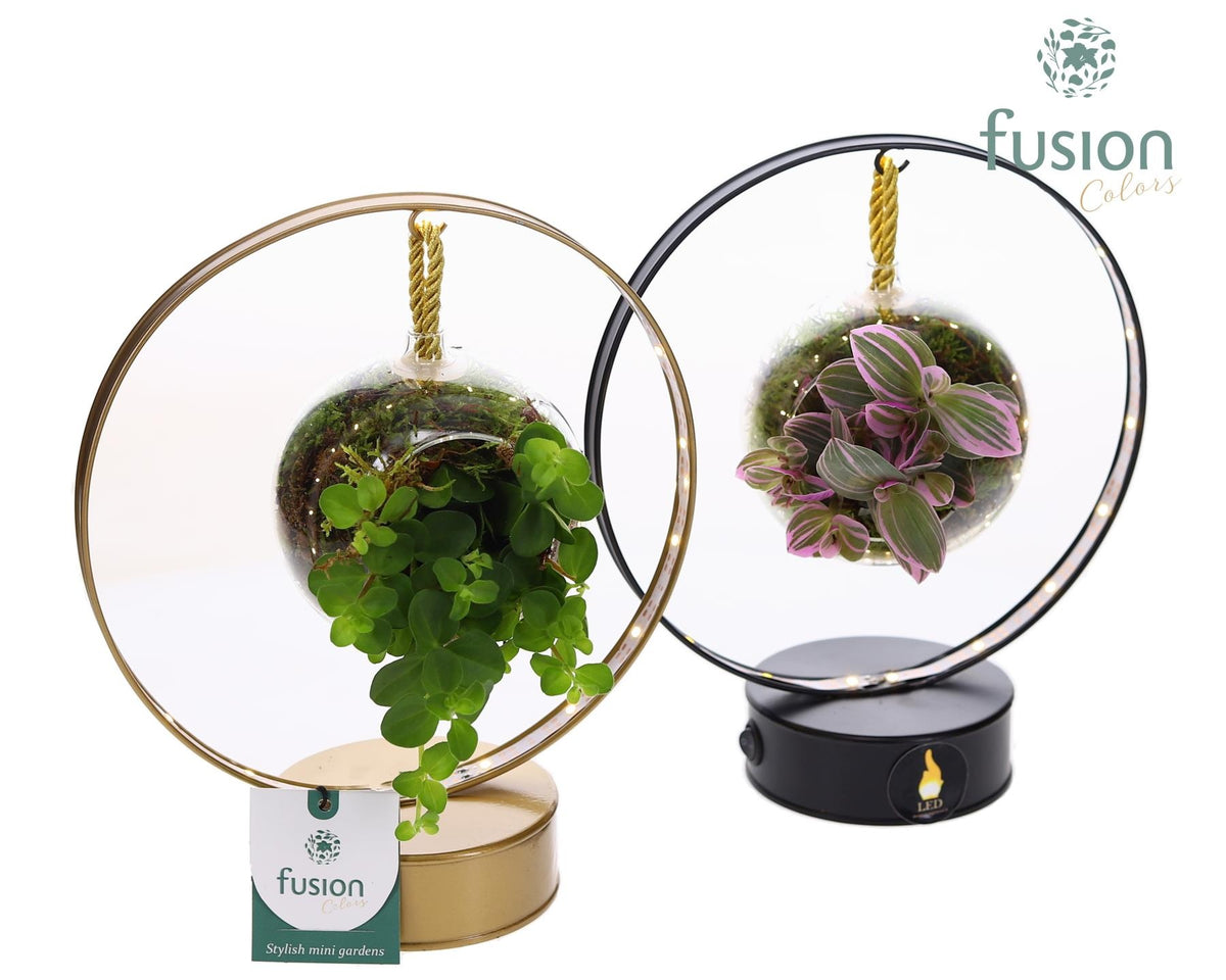 Zinken LED Boog metaal zwart en goud met groene planten 25cm 20cm Pot