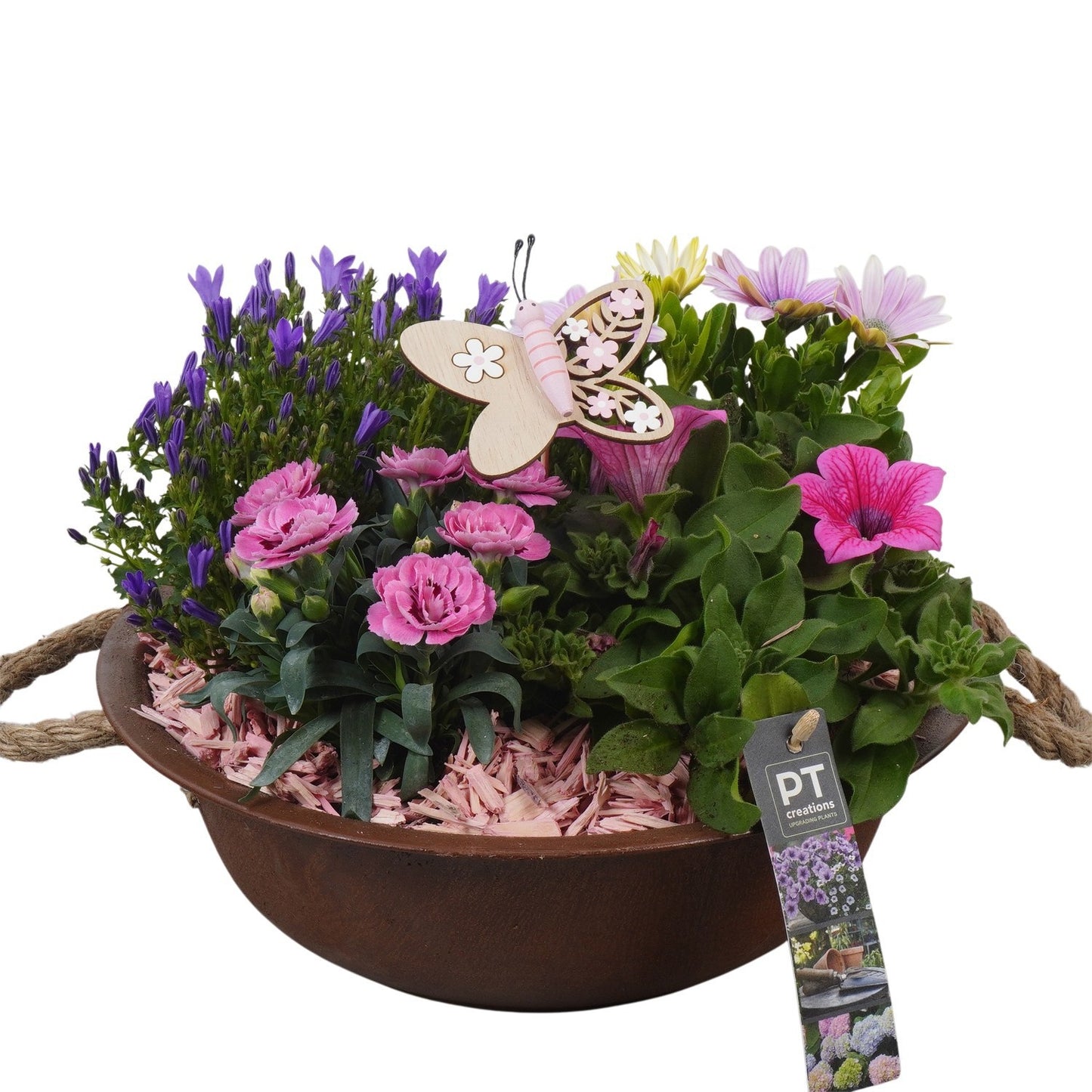 arr. PM196 24cm 30cm Pot