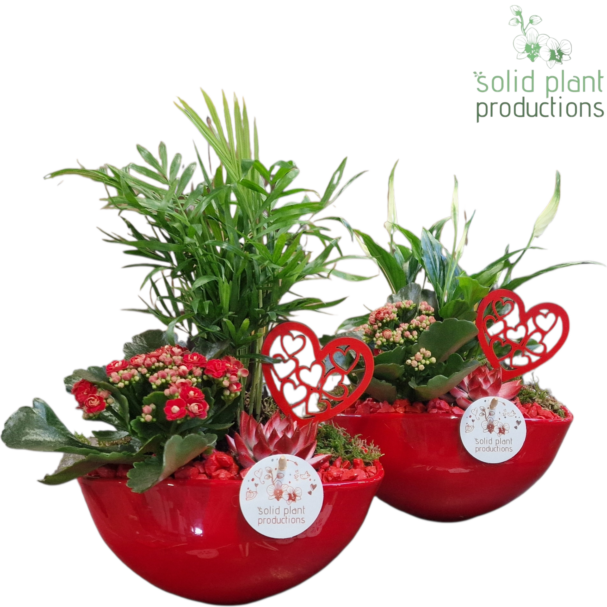 SCE005 Evelyn Red Mix VM 35cm 22cm Pot