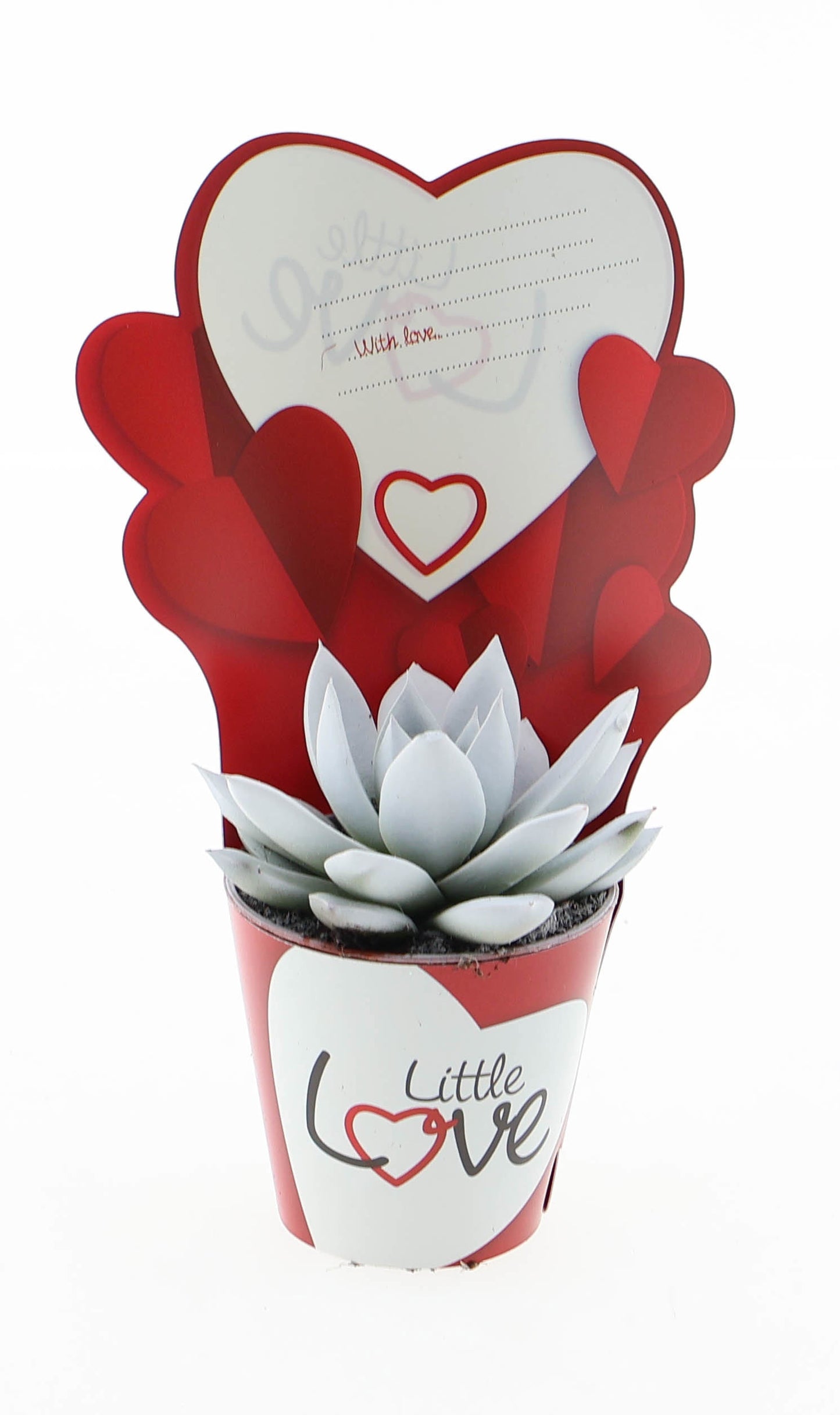 Potcover little love miranda wit 8cm 5.5cm Pot