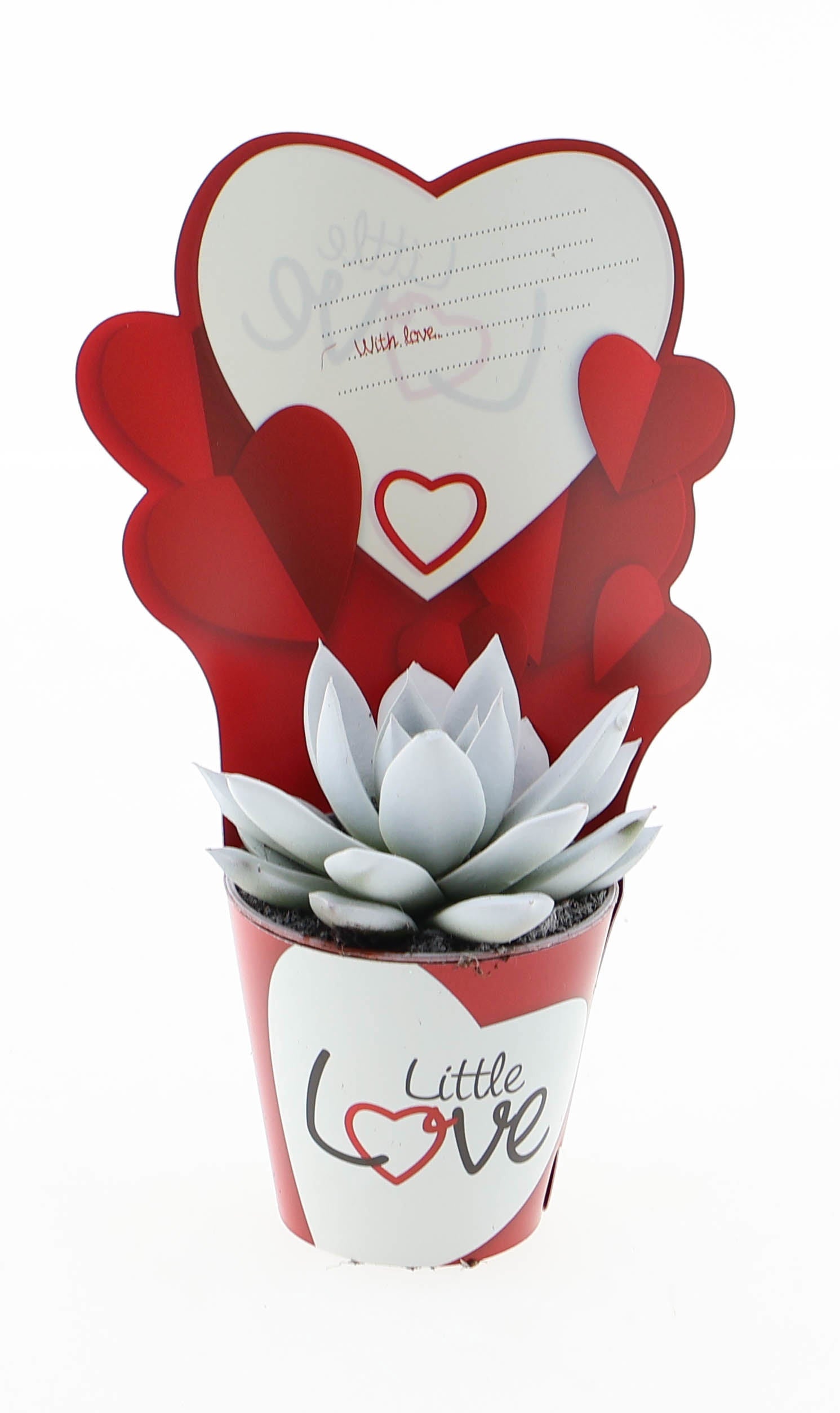 Potcover little love miranda wit 8cm 5.5cm Pot