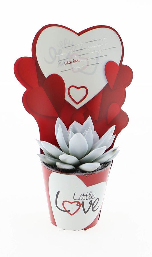 Potcover little love miranda wit 8cm 5.5cm Pot