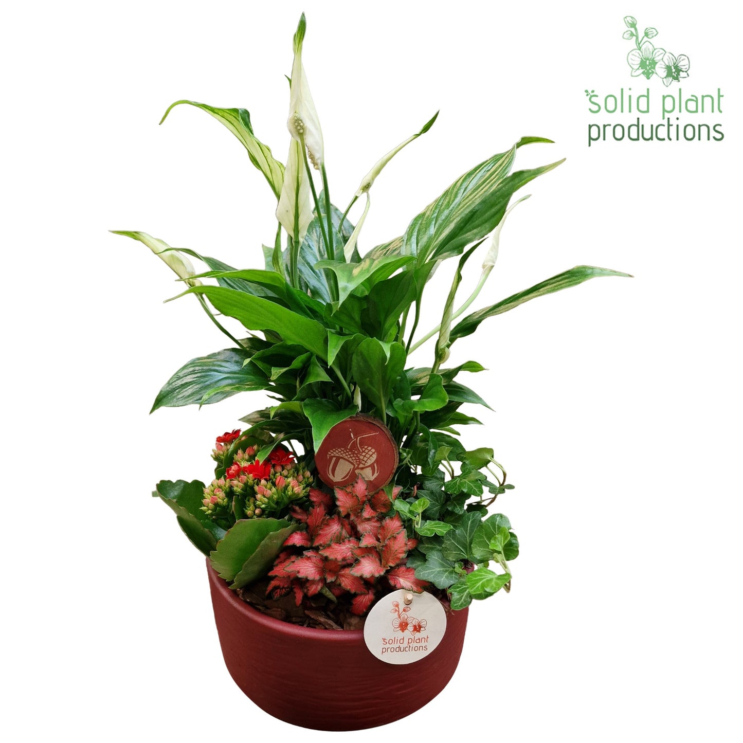 SP003 Loes Red 38cm 18cm Pot