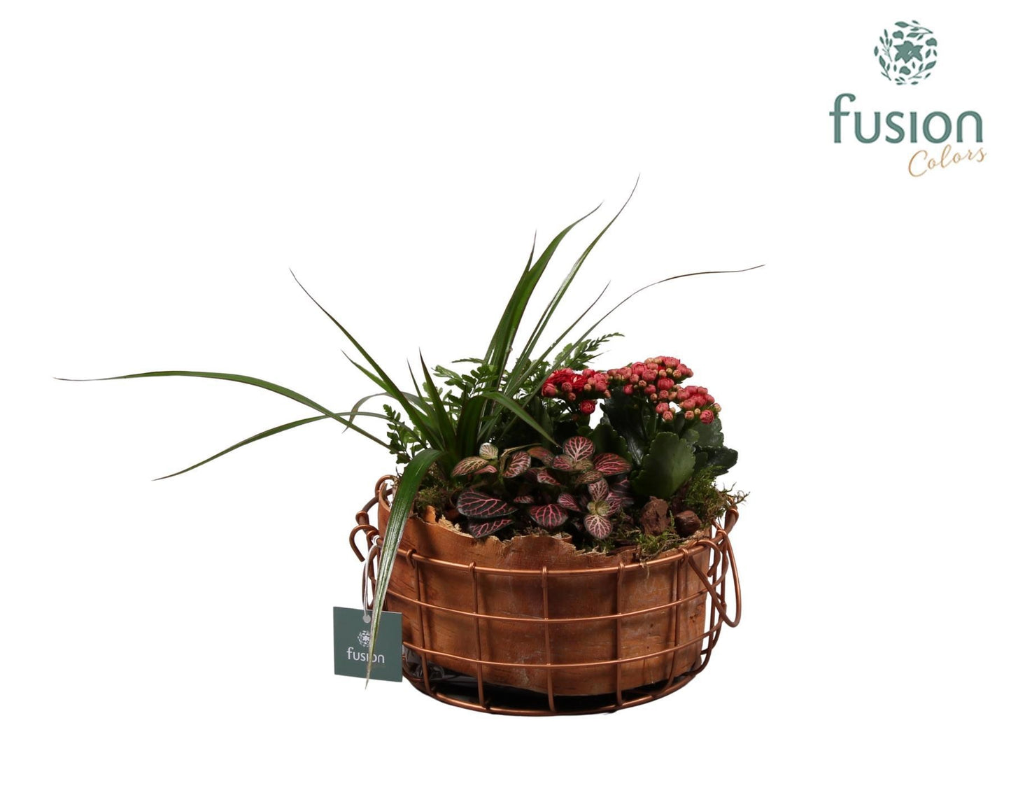 Mand metaal Large rond met Arrangement 25cm 21cm Pot
