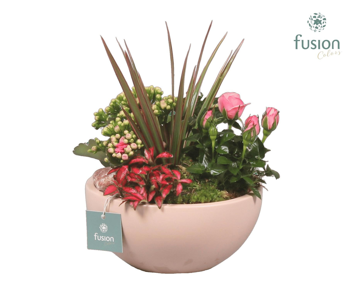 Schaal keramiek Moon Medium blush pink Love met Arrangement 29cm 18cm Pot
