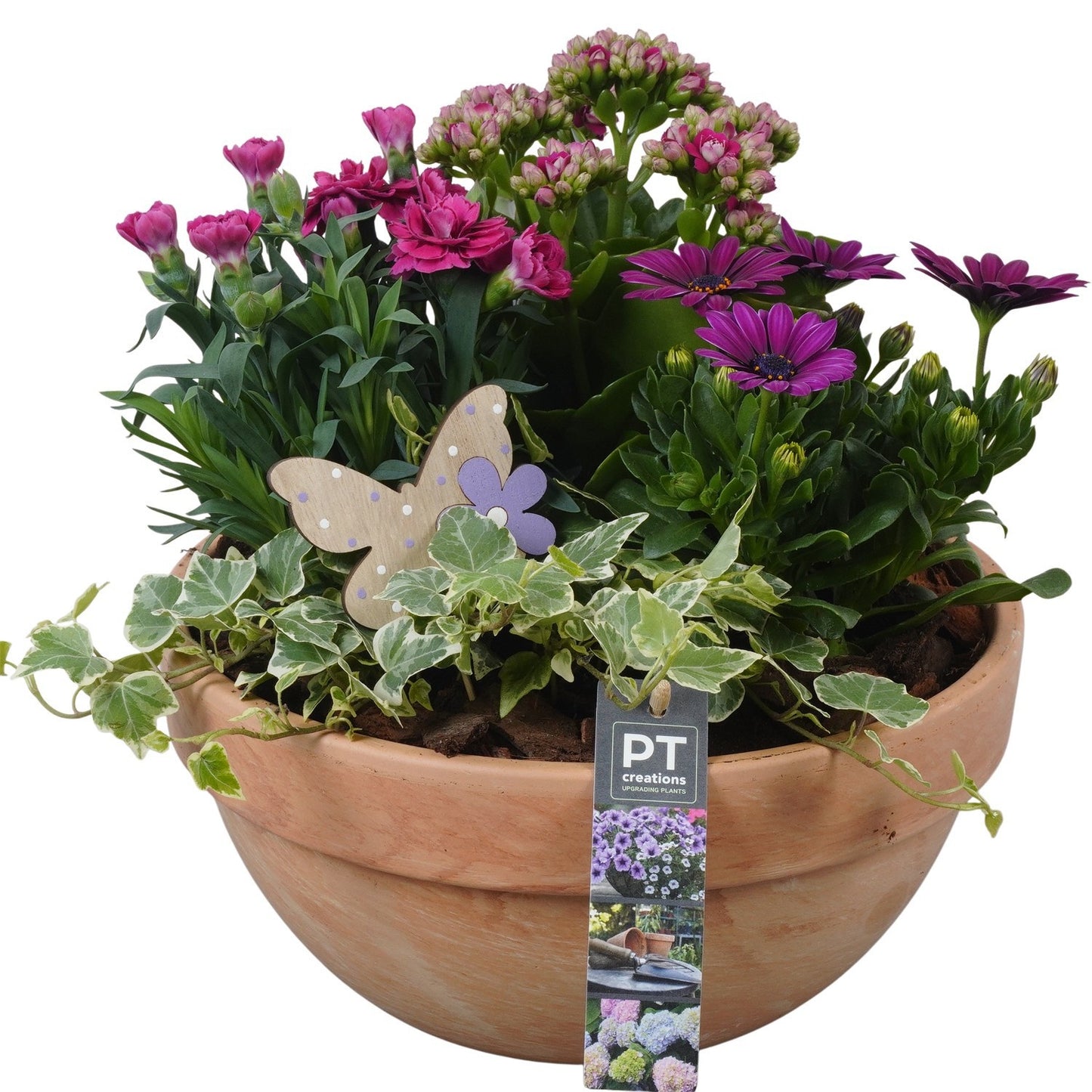 arr. PM196 30cm 26cm Pot