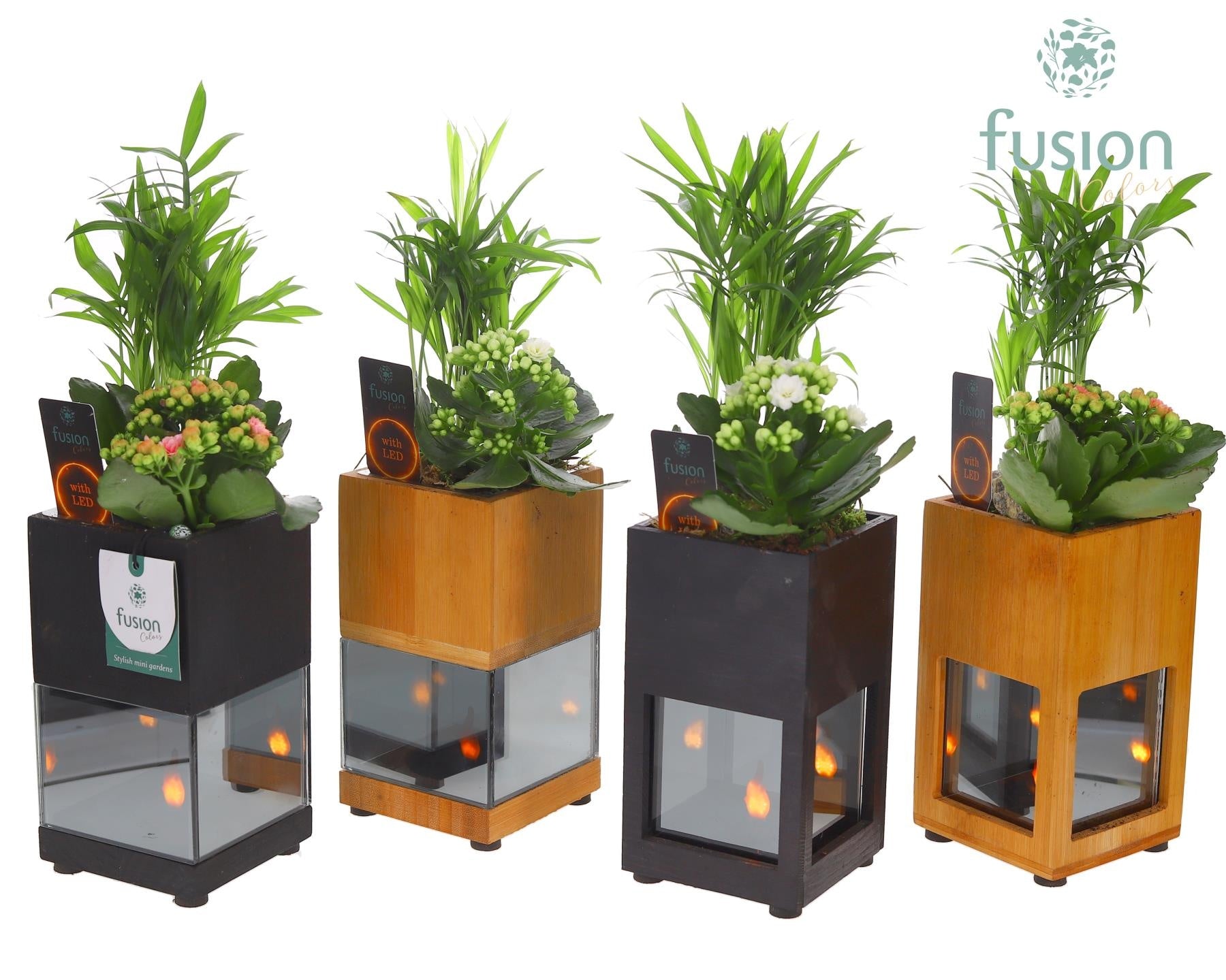 Houten LED planter met vlam met arrangement 35cm 10cm Pot