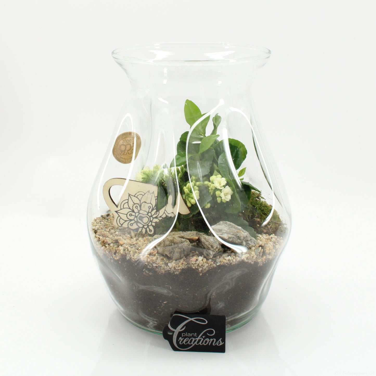ESCR-2628W Essentials 26cm 22cm Pot