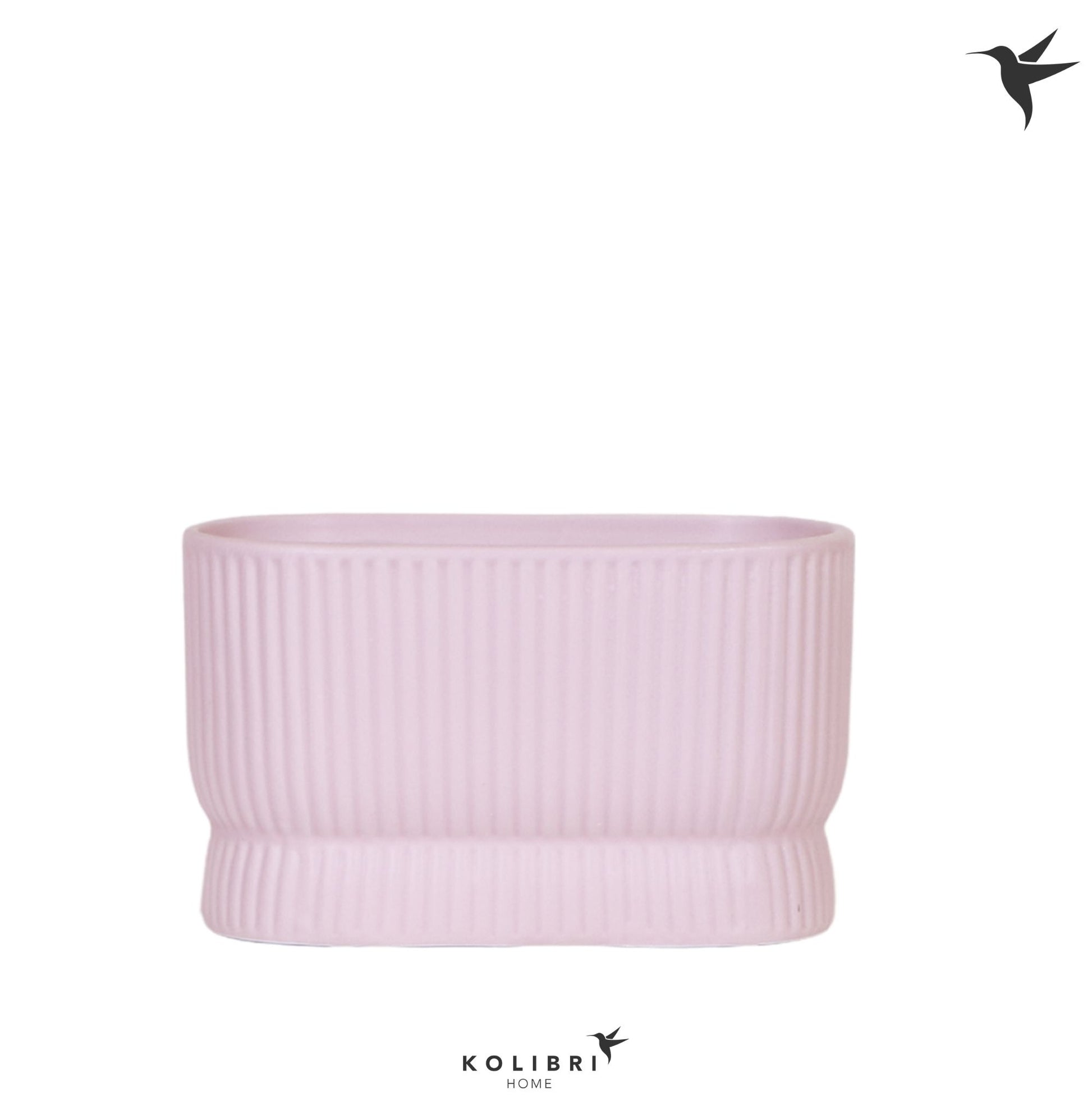 OK Plant Kolibri Home Diabolo twin pot pink Pack of 3