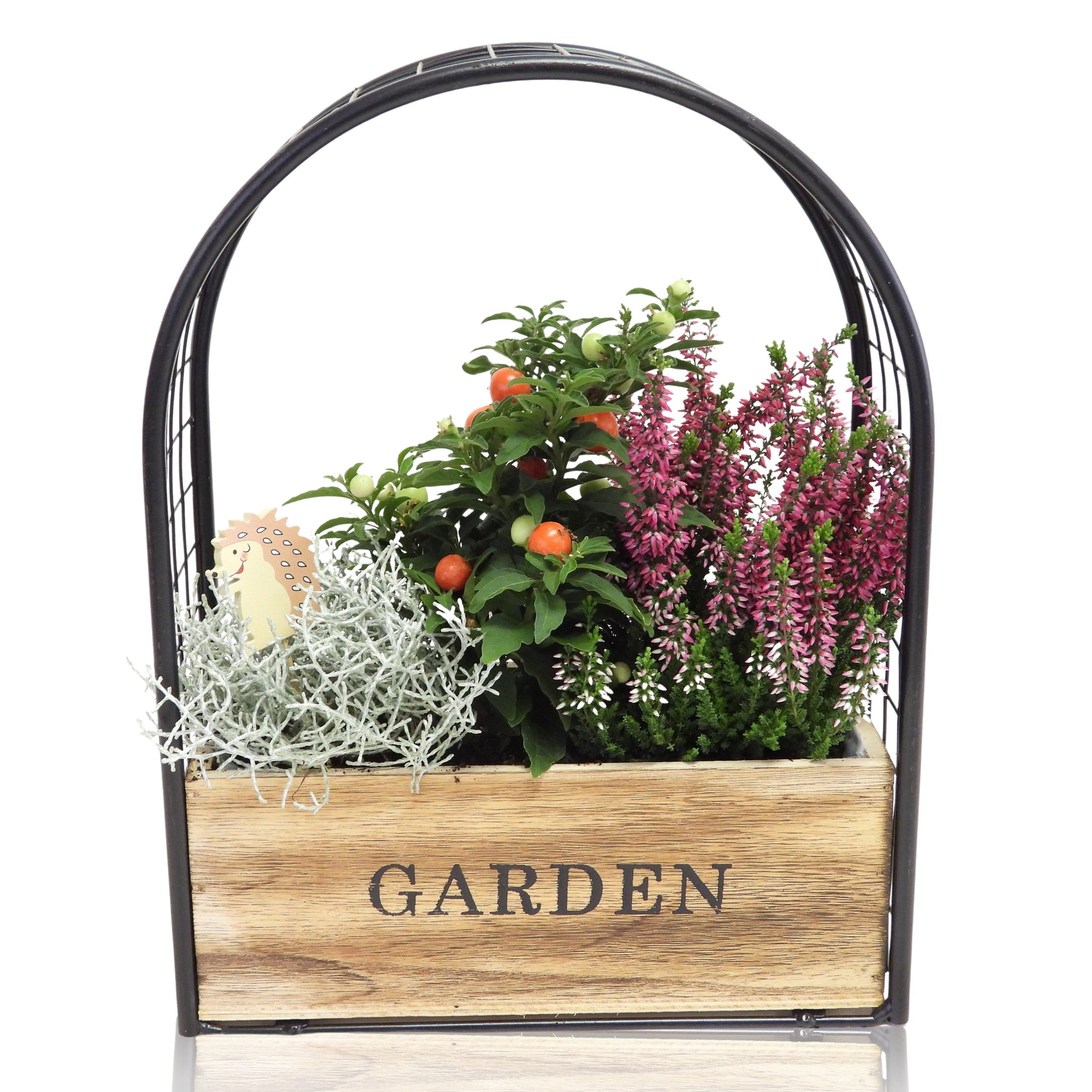 Outdoor arrangement 30cm 25cm Pot