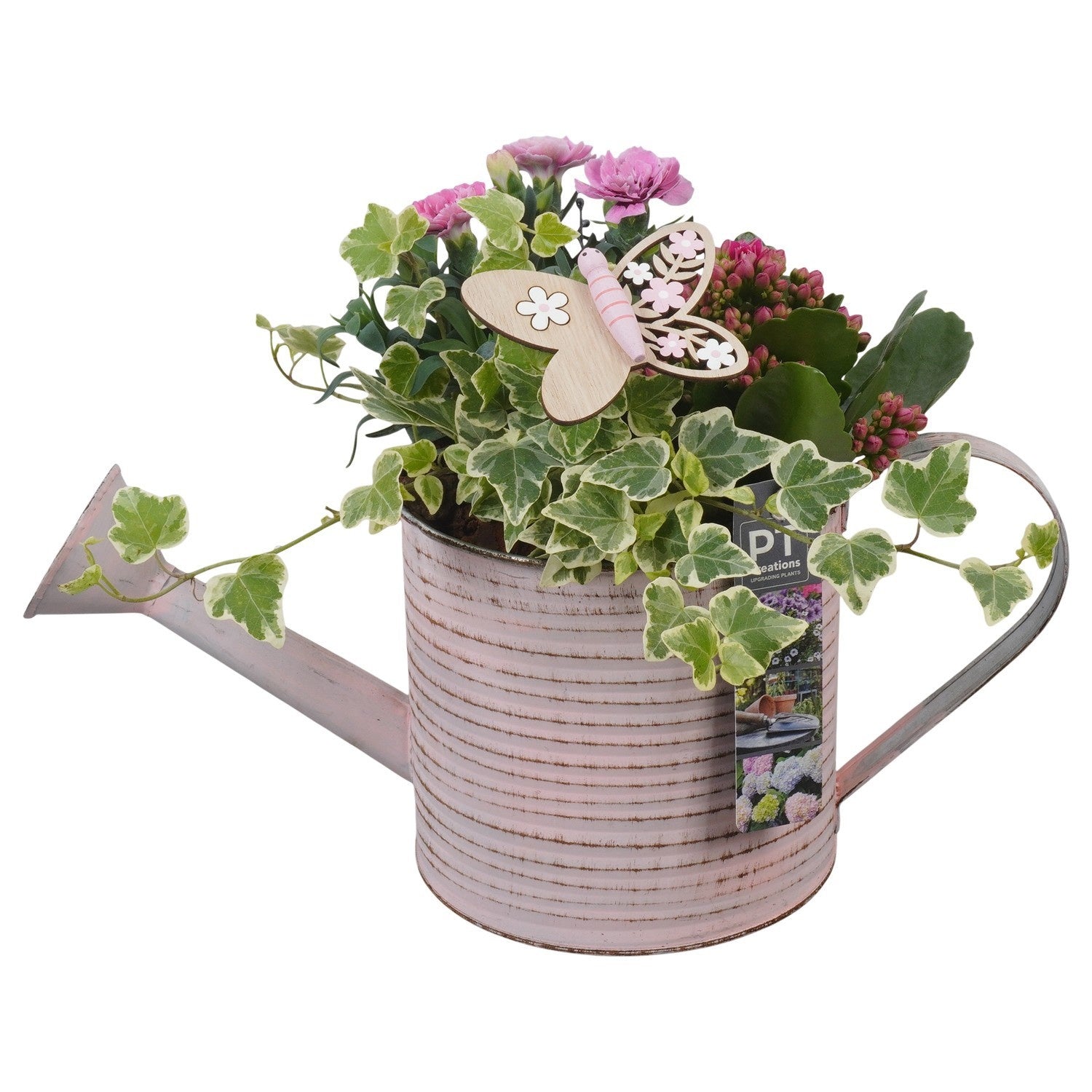 Outdoor arrangement 26cm 34cm Pot