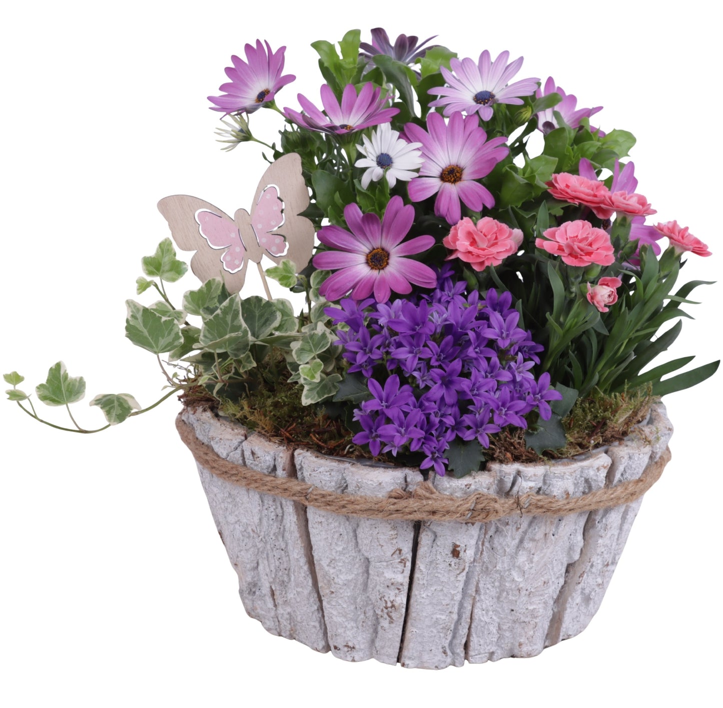Outdoor arrangement 30cm 24cm Pot