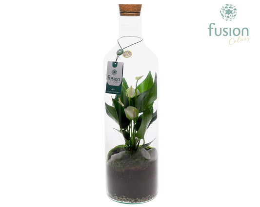 Green Bottle Fles Large met Anthurium Wit 55cm 15cm Pot