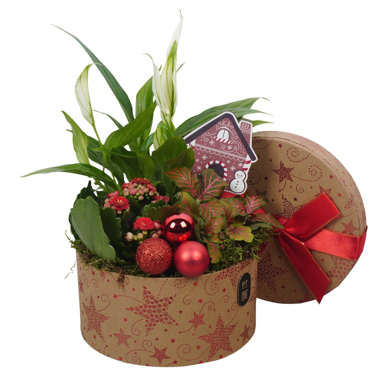Christmas arrangement 27cm 17cm Pot