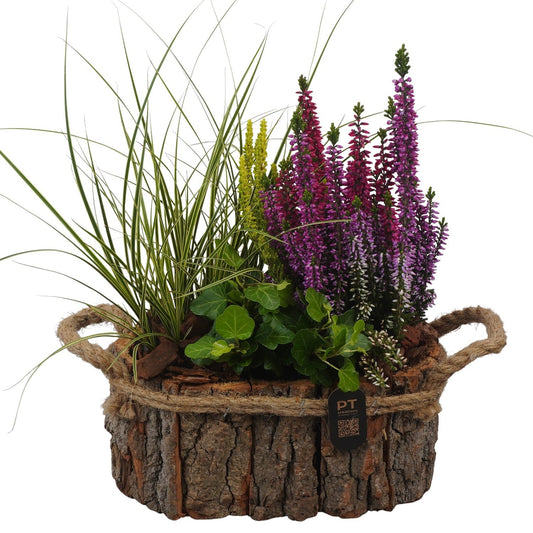 Outdoor arrangement 33cm 22cm Pot
