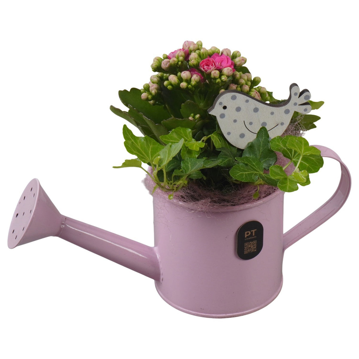Indoor arrangement 18cm 23cm Pot