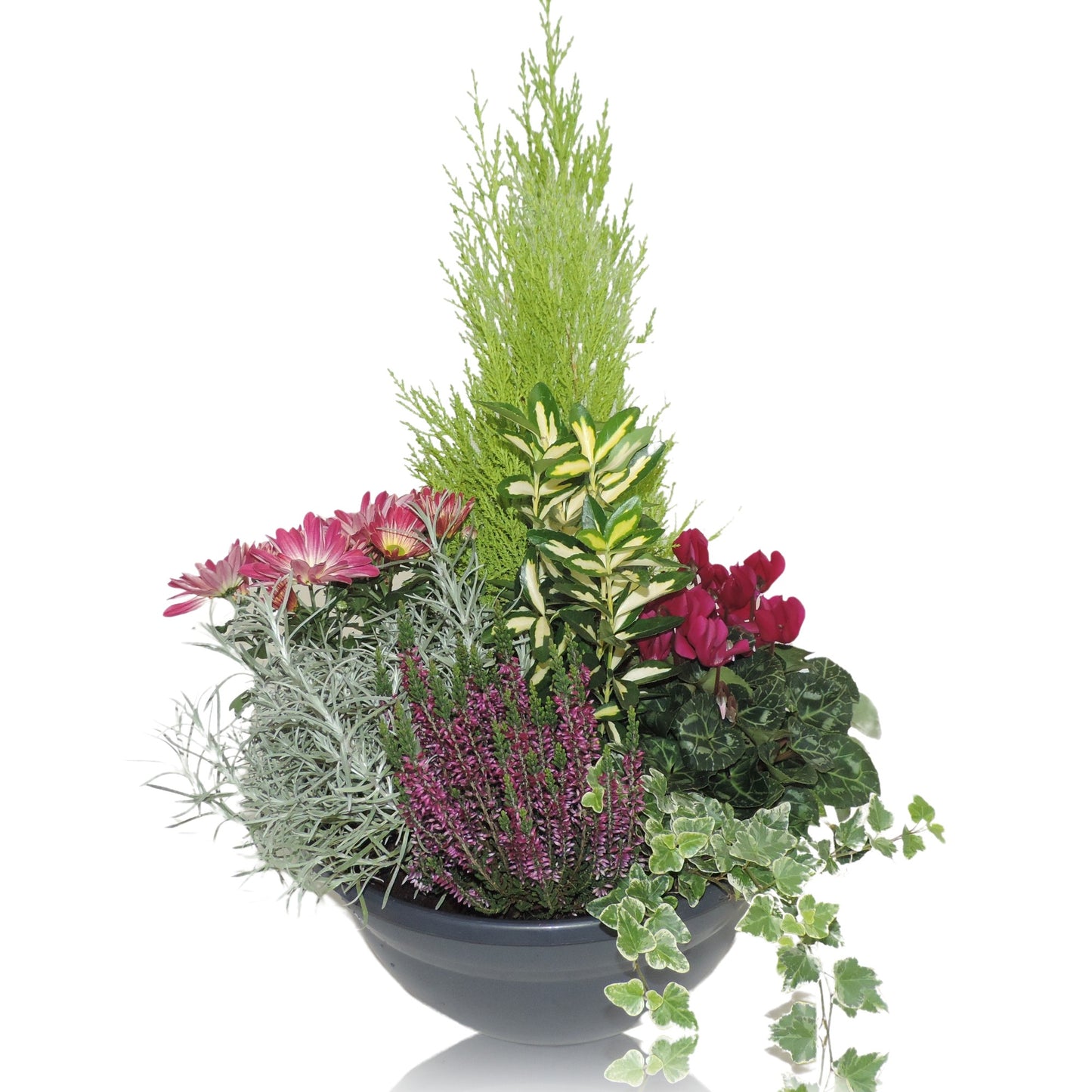 Outdoor arrangement 60cm 33cm Pot