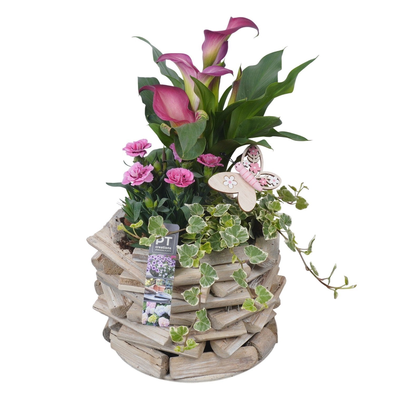 arr. PM196 37cm 21cm Pot