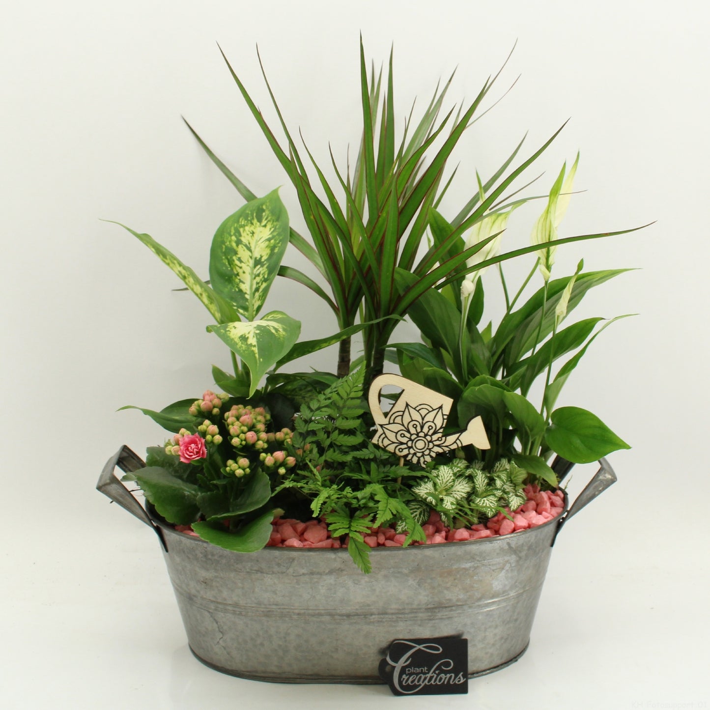 FDCR-2616RZ Basic Fundamentals 50cm 32cm Pot