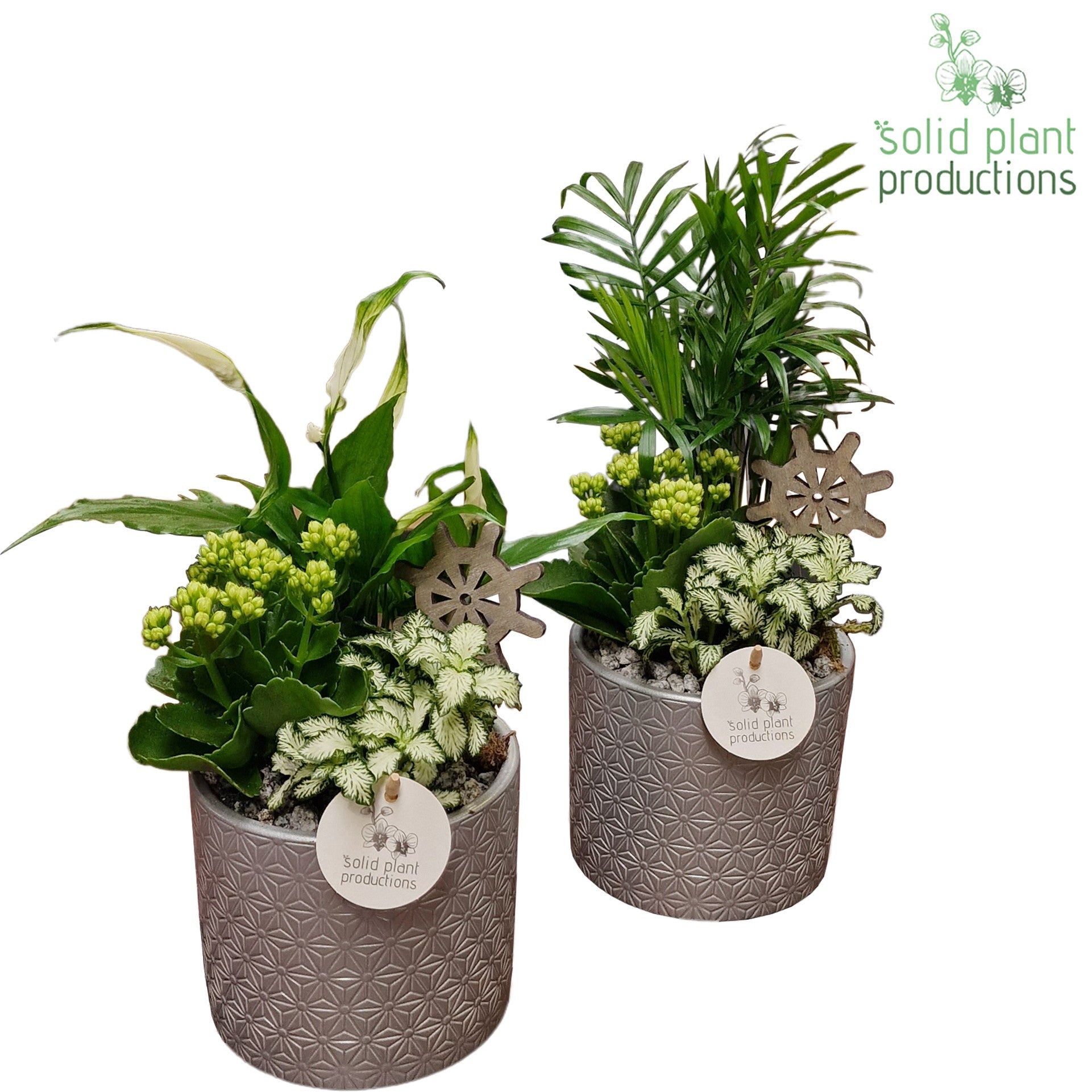 SC001 Amy Steel Mix 35cm 14cm Pot