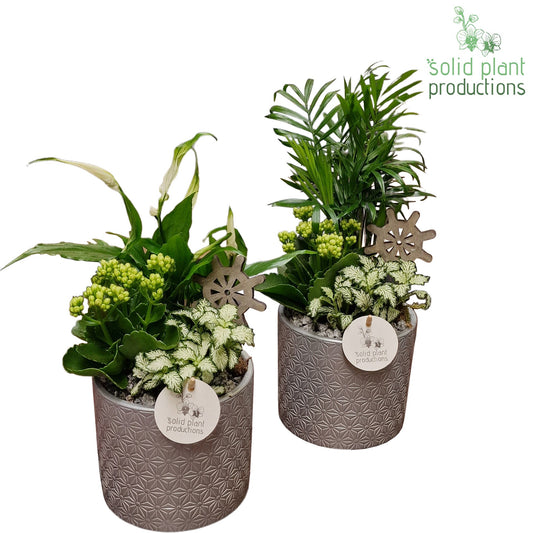 SC001 Amy Steel Mix 35cm 14cm Pot