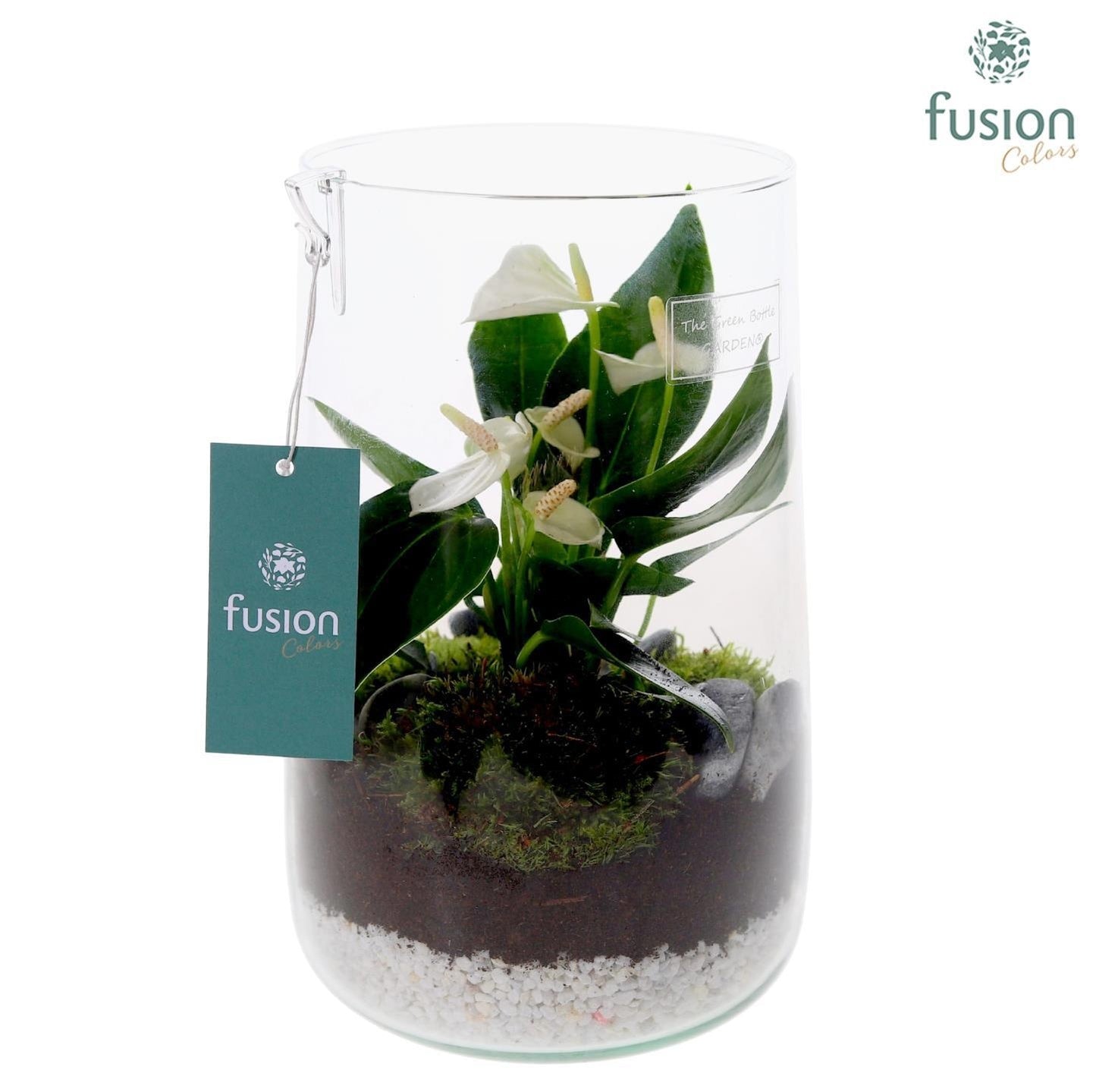 Green Bottle Deline Large met Anthurium 24 uur levering 25cm 15cm Pot