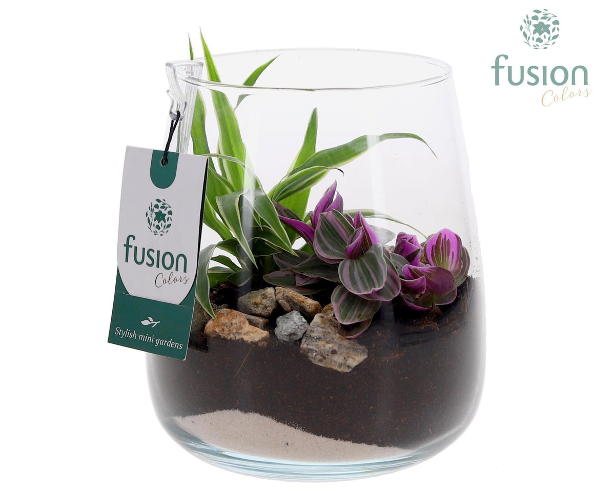 Glas Alzada klein met arrangement groene planten 2pp 15cm 15cm Pot
