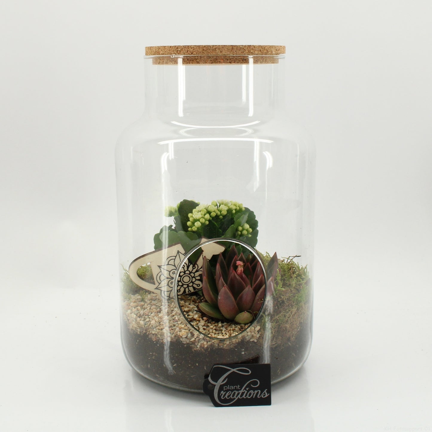 ESCR-2634W Essentials terrarium 30cm 19cm Pot