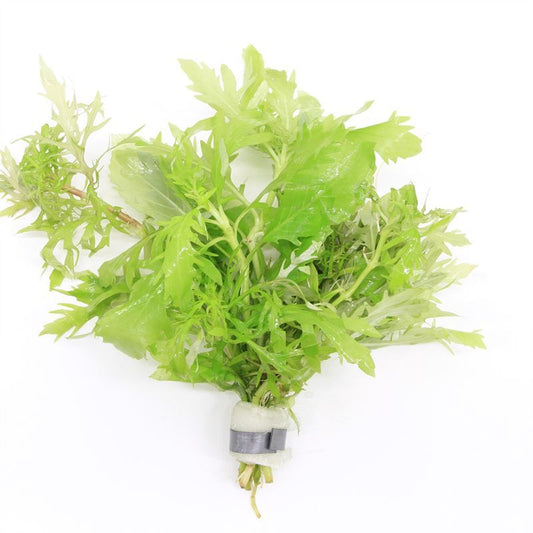 Hygrophila polysperma 5cm 2cm Pot