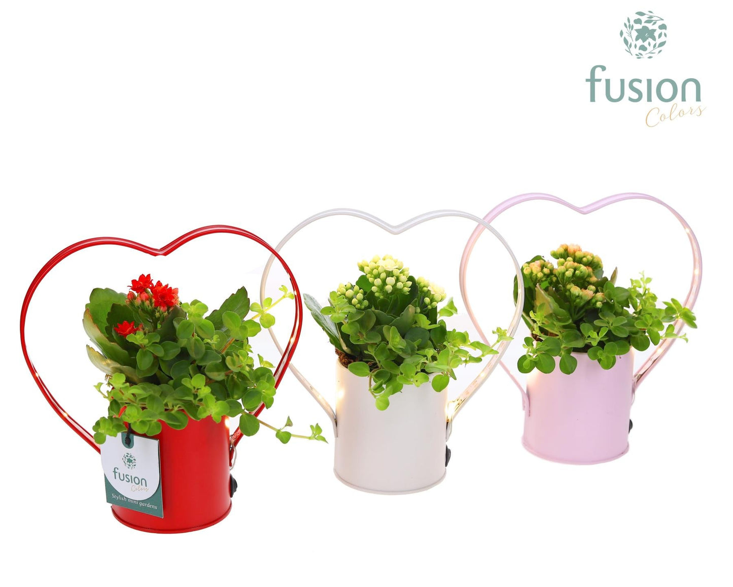 LED planter zink Hartvorm met arrangement 20cm 18cm Pot