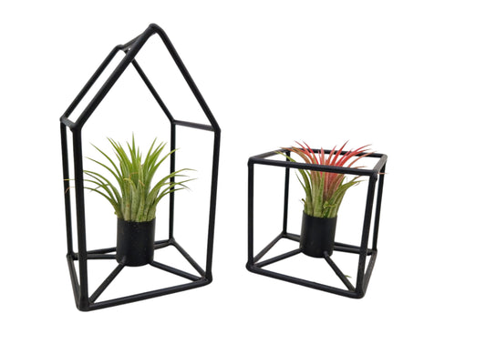Tillandsia House square frame mix 15cm 8cm Pot