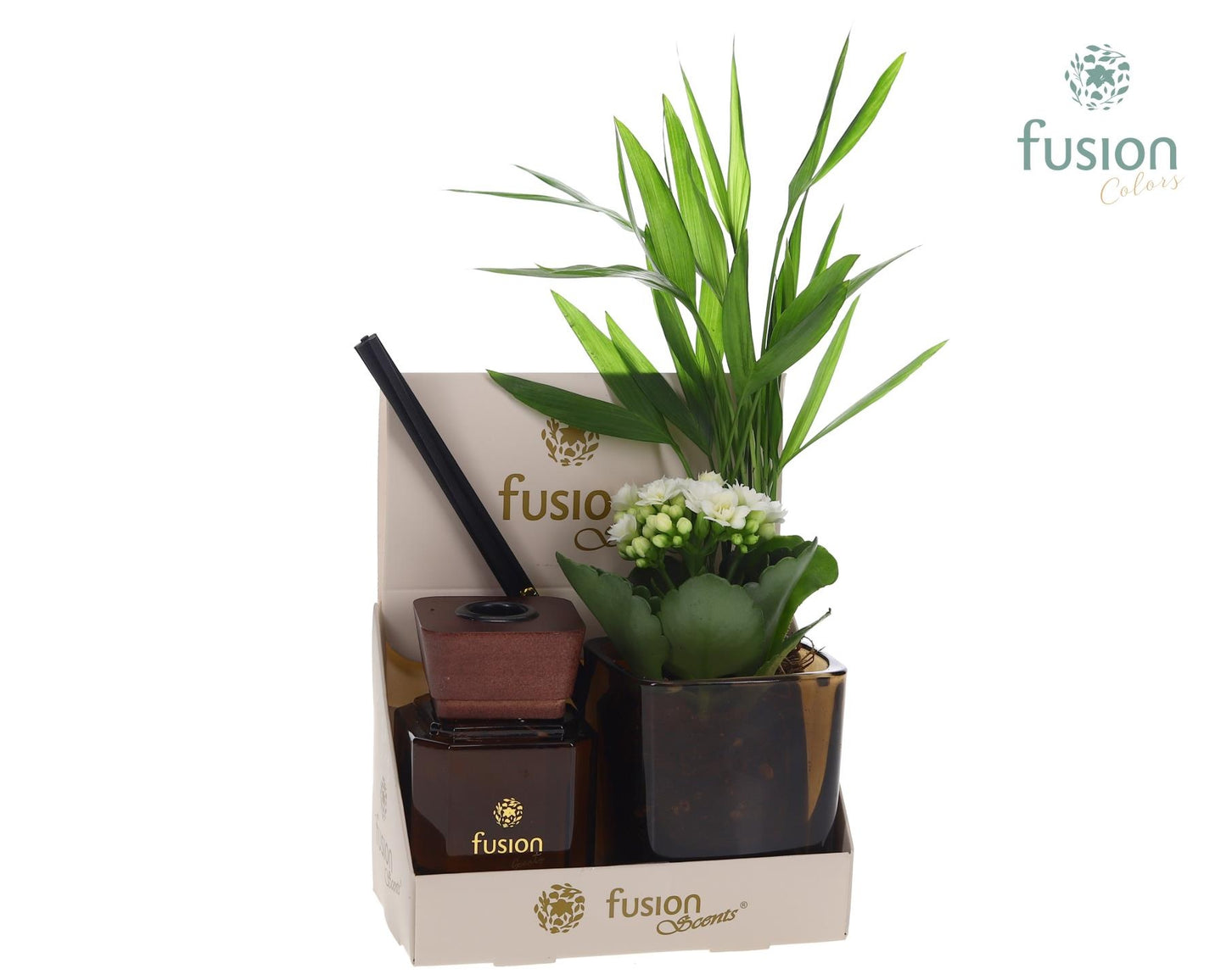 Fusion scents Glas pot geurstok groen met Arrangement 2pp 20cm 7cm Pot