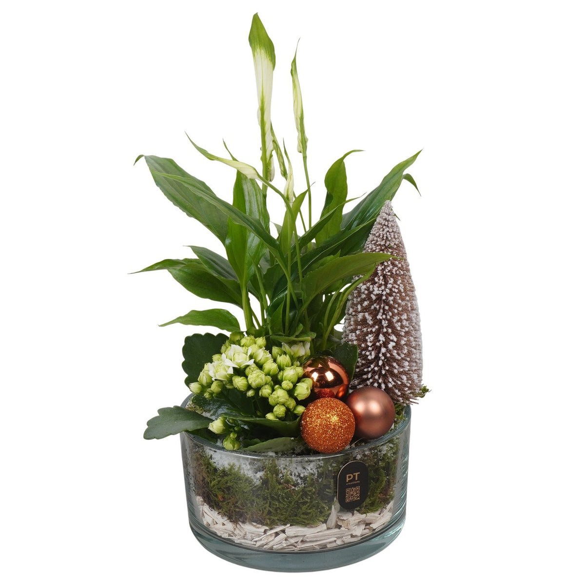 Christmas arrangement 27cm 14cm Pot