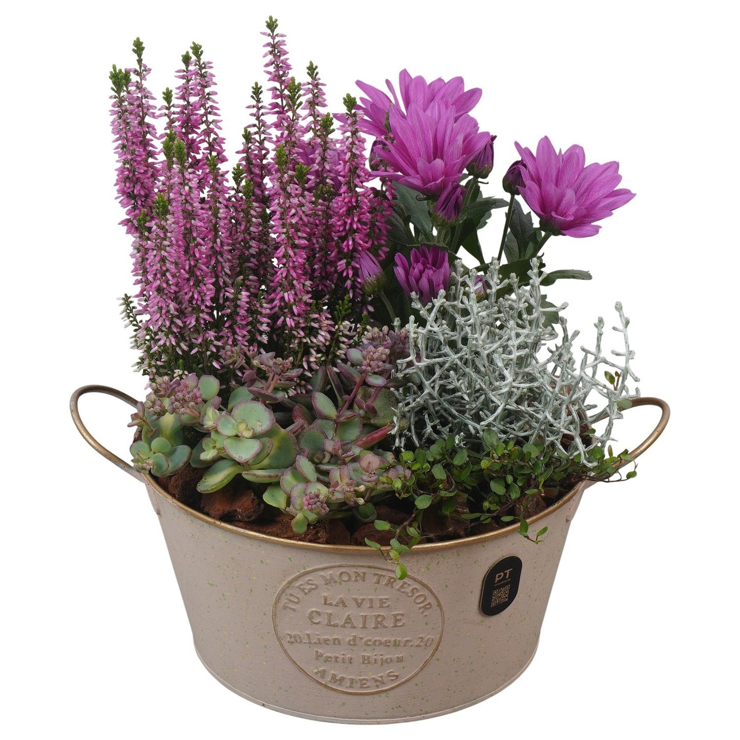 Outdoor arrangement 27cm 20cm Pot