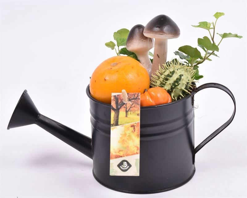arr. Sierfruit 26cm Pot