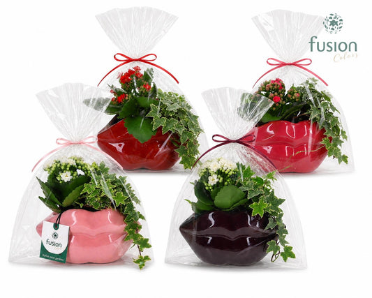 Keramiek Lippen met arrangement in klaphoes 29cm 15cm Pot