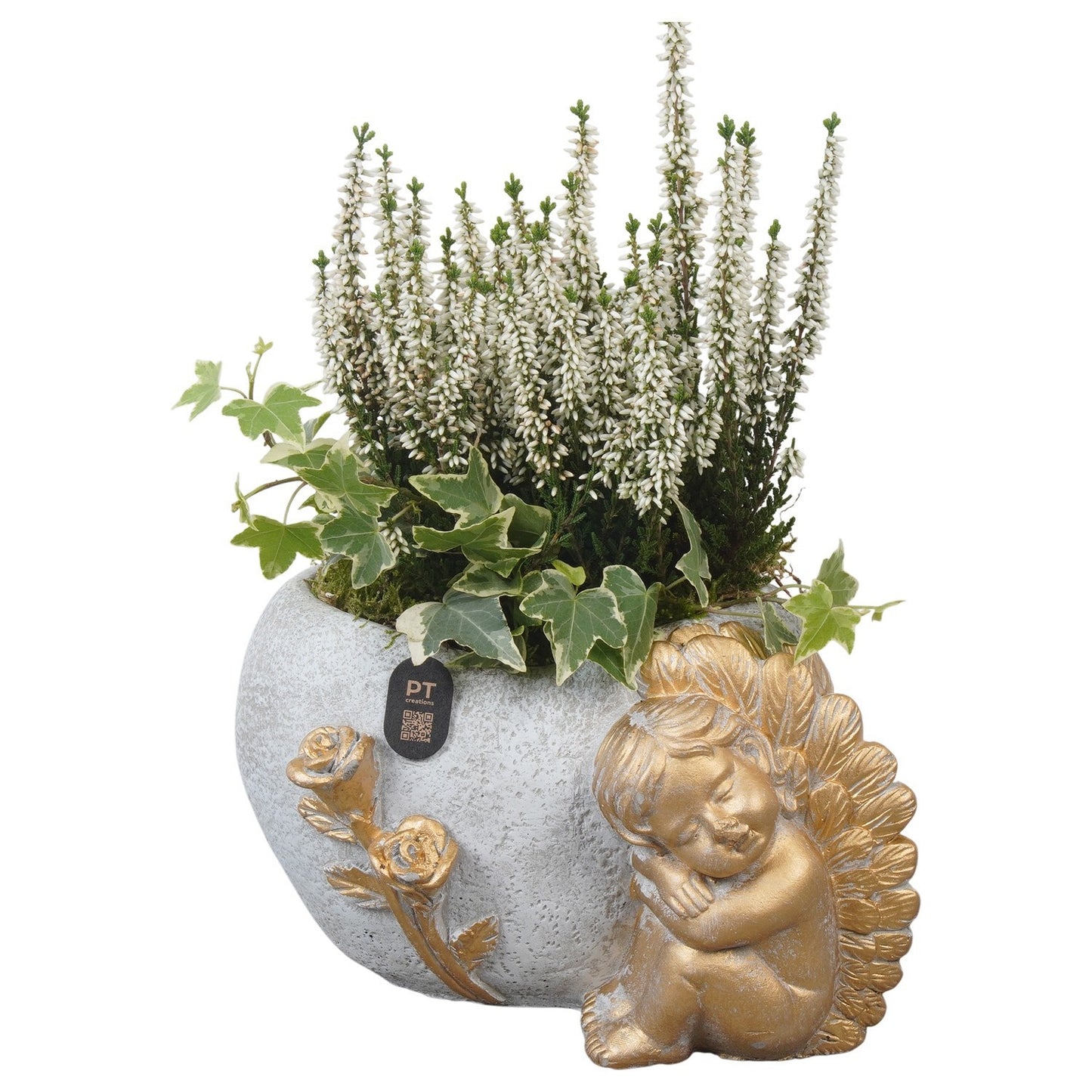 arr-jsal-2003-31cm-21cm-pot