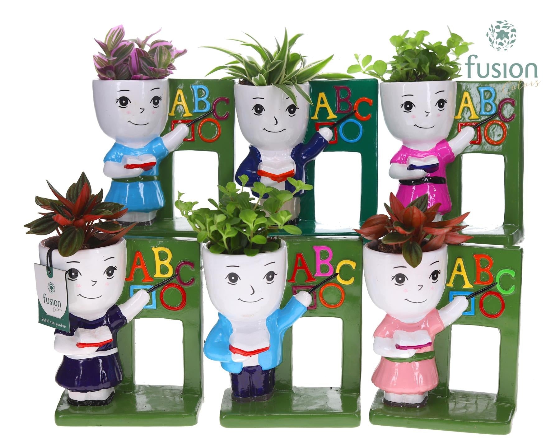 Keramiek back to school met Groenen planten mix 25cm 16cm Pot