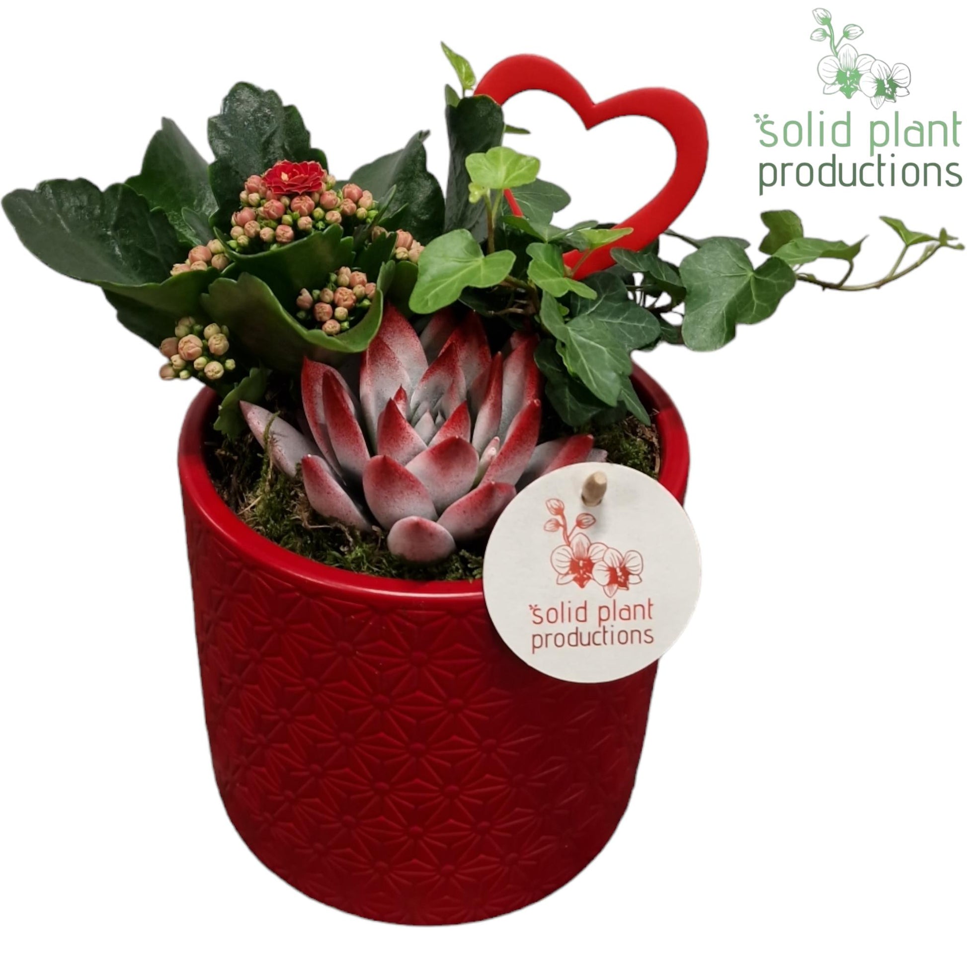 KE001 Karina Red 23cm 13cm Pot