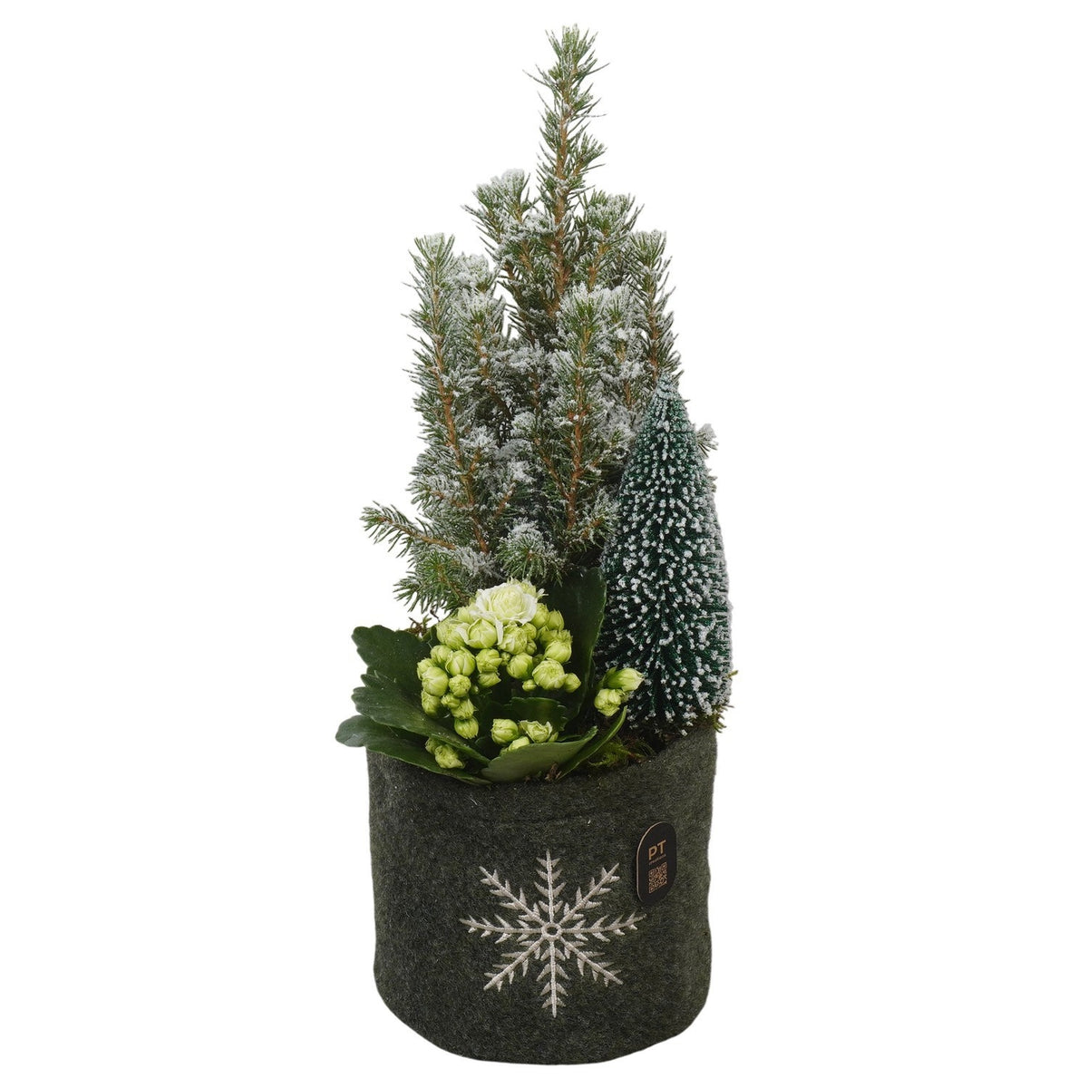 Christmas arrangement 30cm 13cm Pot