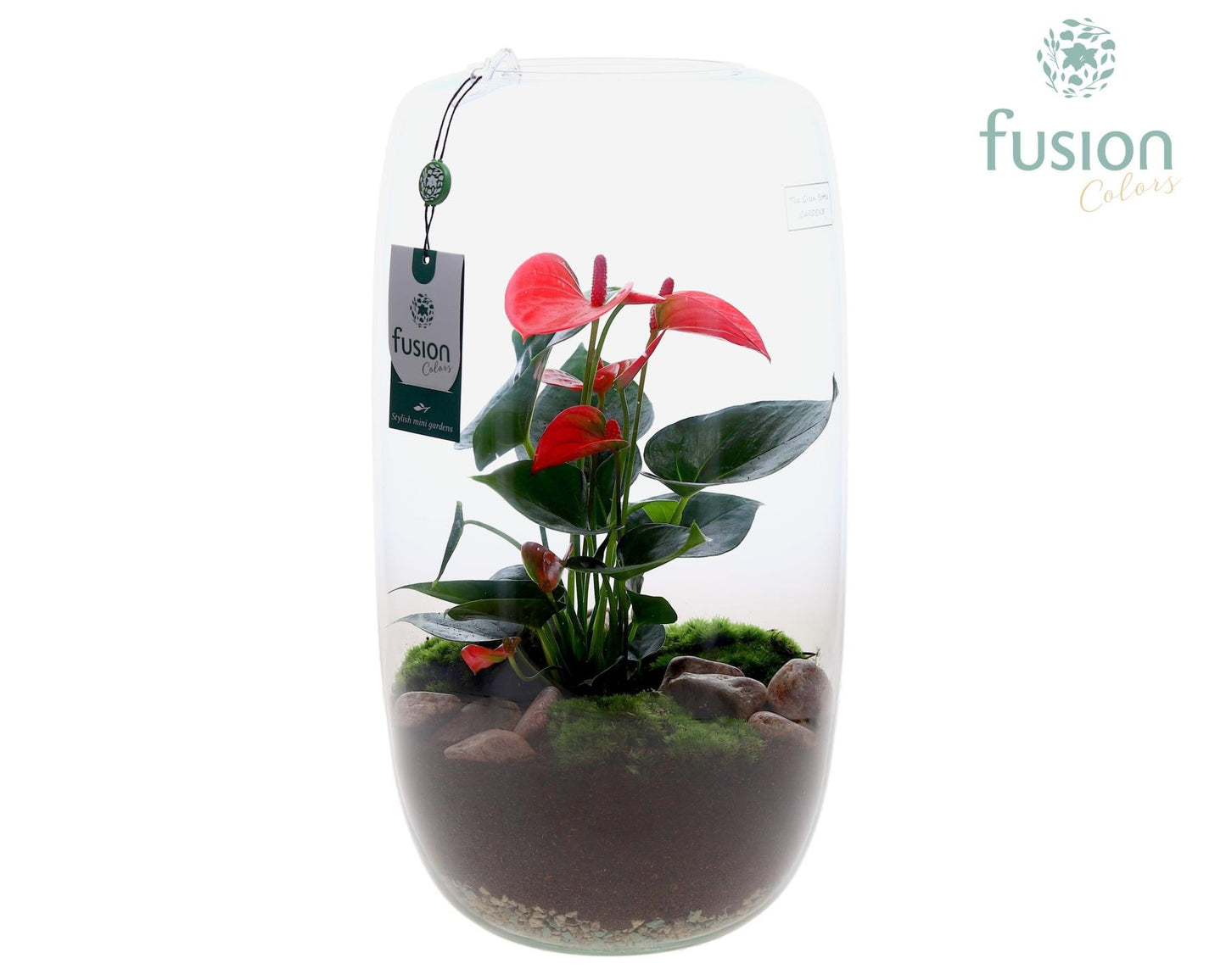 Green Bottle Isabella XXLarge met Anthurium 43cm 23cm Pot