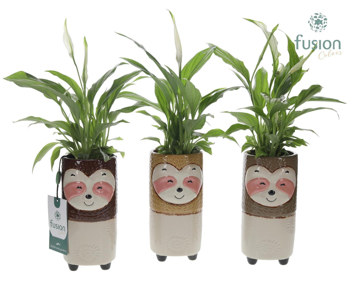 Keramiek Dieren Luiaards met Spathiphyllum 35cm 9cm Pot