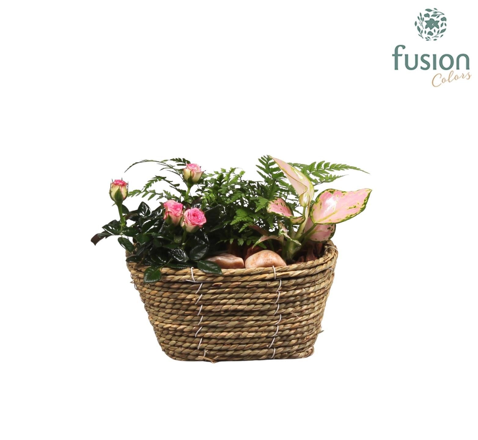 Mand zeegras ovaal met arrangement 20cm 18cm Pot