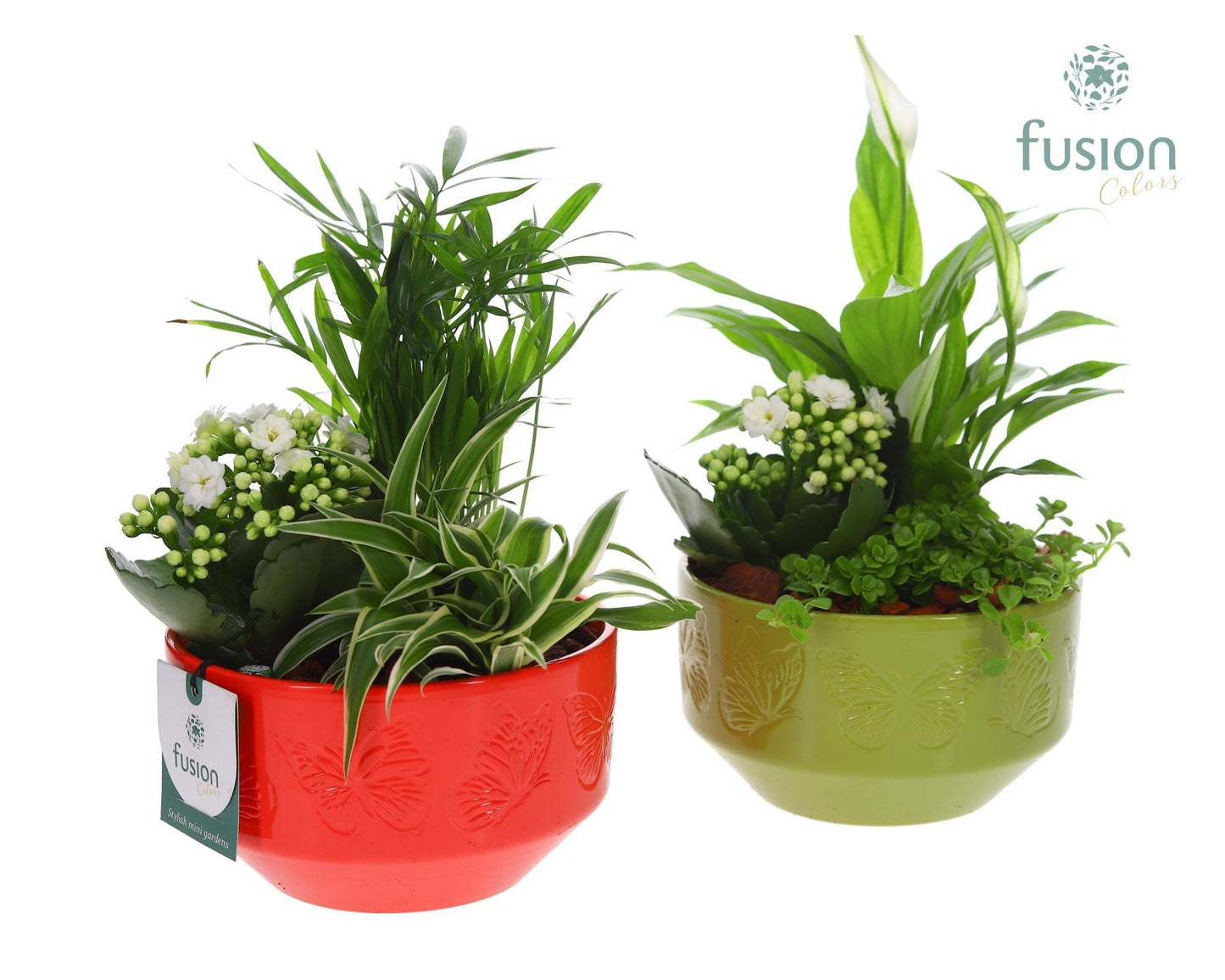 Keramiek schaal Small met arrangement 29cm 15cm Pot